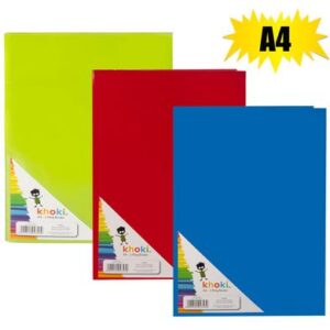 File 2-ring binder a4 asstd colors